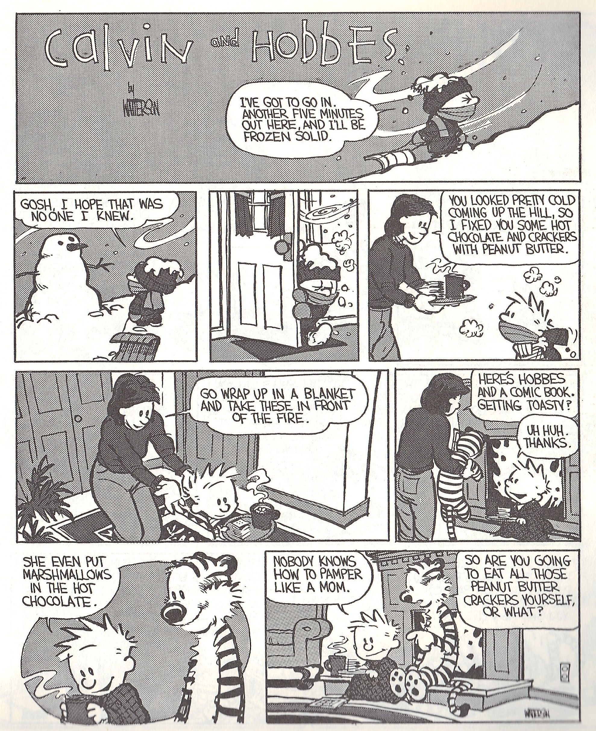 “Nobody Pampers Like a Mom” – Calvin and Hobbes Winter Comfort 364158319880287761 1